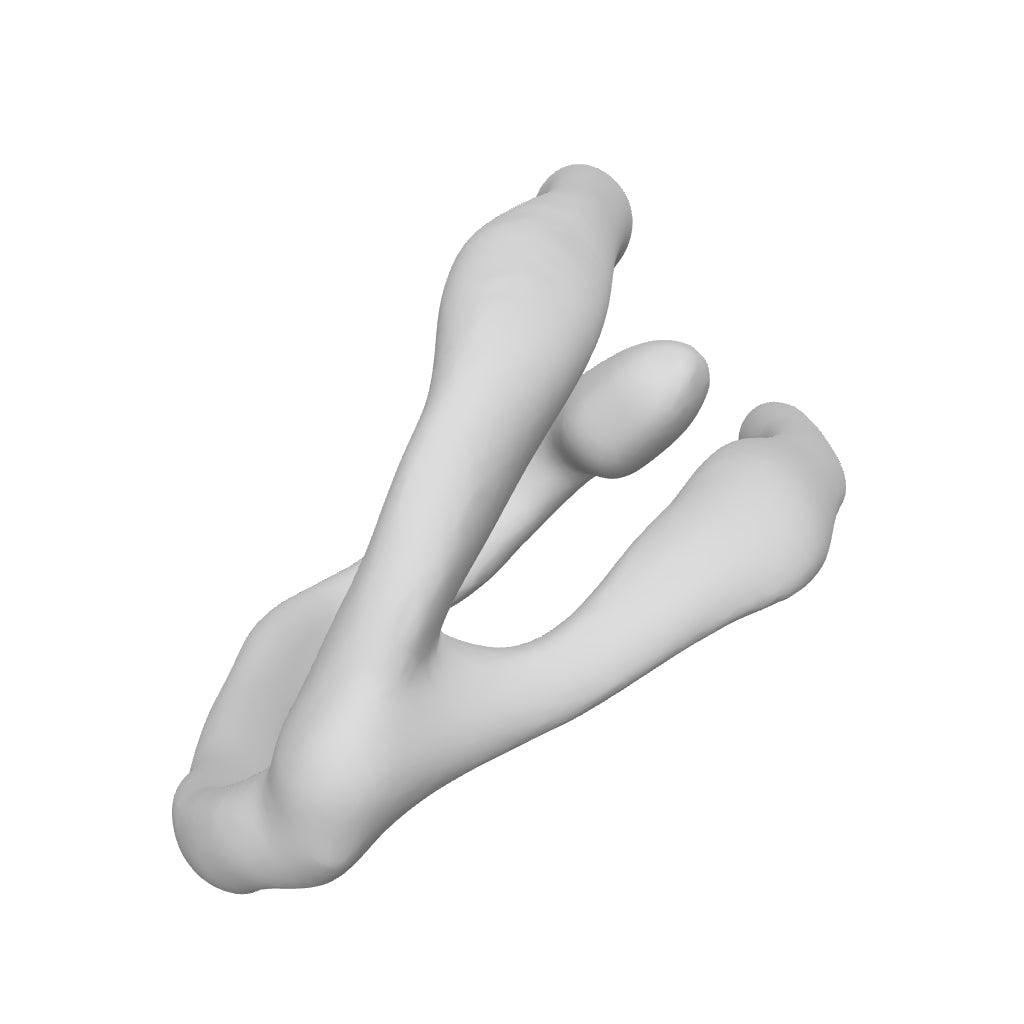 INTERLACE
